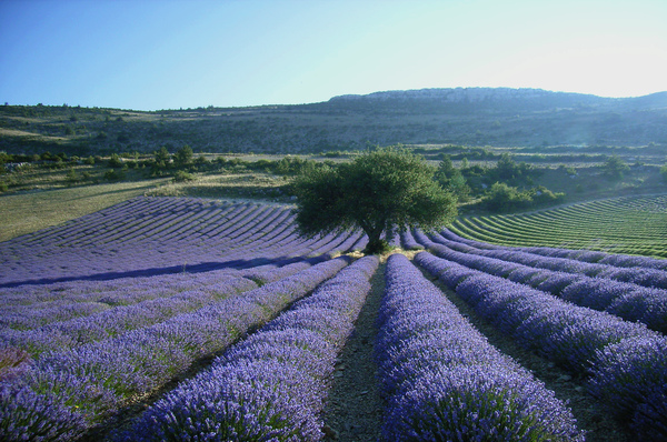 Aix-en-Provence: A Província de Paul Cézanne