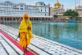Amritsar e o templo de ouro Sikh - VÍDEO