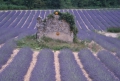 Especial: Provence