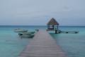Aventura, gastronomia, luxo... Tudo isso espera por você no Tahiti